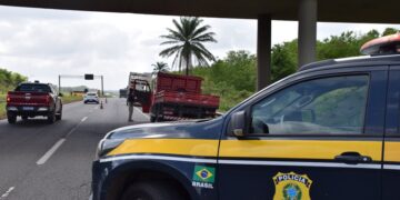 PRF apreende mais de 100 comprimidos de anfetaminas na BR-242