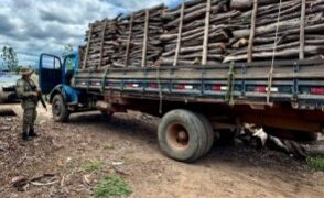 CIPPA/Lençóis apreende carga de madeira ilegal na BR-242