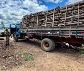 CIPPA/Lençóis apreende carga de madeira ilegal na BR-242