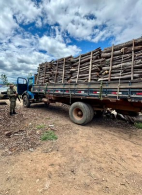 CIPPA/Lençóis apreende carga de madeira ilegal na BR-242