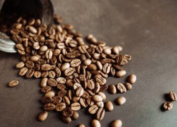 Dia mundial do café: Chapada Diamantina brilha na produção baiana com selo de excelência