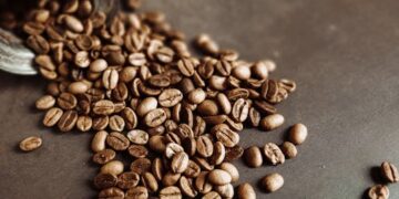 Dia mundial do café: Chapada Diamantina brilha na produção baiana com selo de excelência