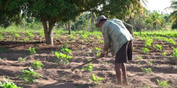 Garantia de direitos trabalhistas no campo ainda enfrenta desafios
