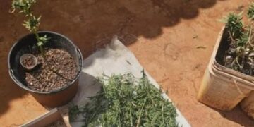 Homem é preso com drogas após perseguição policial em Souto Soares