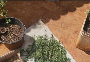 Homem é preso com drogas após perseguição policial em Souto Soares