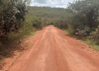 BA-245 entre Mucugê, Boninal e Seabra passará por pavimentação em 39 km
