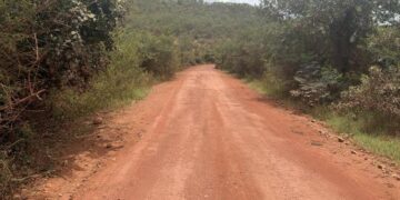 BA-245 entre Mucugê, Boninal e Seabra passará por pavimentação em 39 km