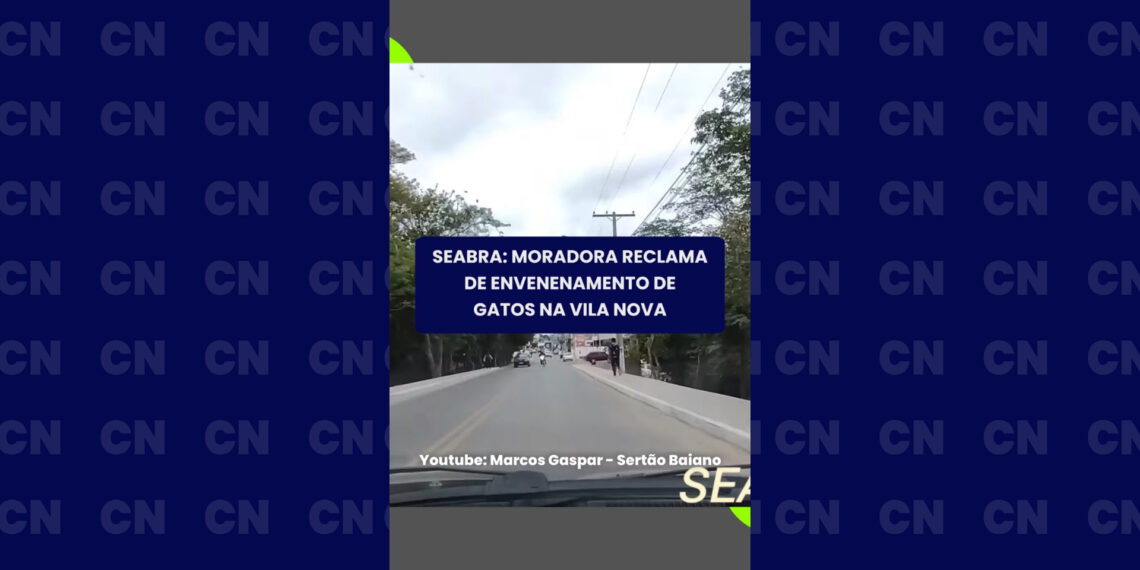 Seabra: moradora reclama de envenenamento de gatos na Vila Nova