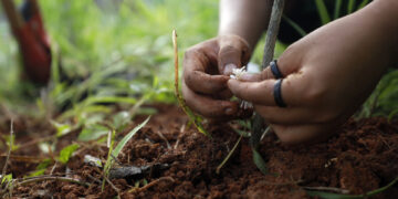 Bahia prorroga inscrições para editais de Plantas Medicinais e Turismo Rural até 30 de junho