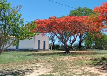 Ibitiara: TJ-BA determina que município garanta transporte regular para comunidade quilombola Tiririca de Cima