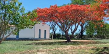 Ibitiara: TJ-BA determina que município garanta transporte regular para comunidade quilombola Tiririca de Cima