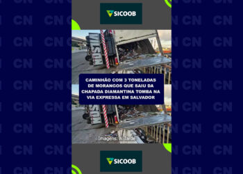 Caminhão com 3 toneladas de morangos que saiu da Chapada tomba em via expressa em Salvador