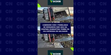 Caminhão com 3 toneladas de morangos que saiu da Chapada tomba em via expressa em Salvador