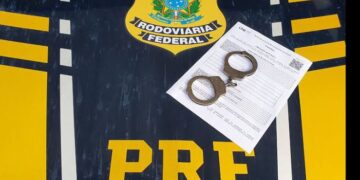 Seabra: PRF cumpre mandado de prisão por crime ambiental durante fiscalização na BR-242