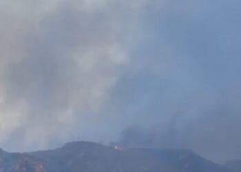Incêndio na Chapada Diamantina mobiliza brigadistas em combate desde sábado (13)