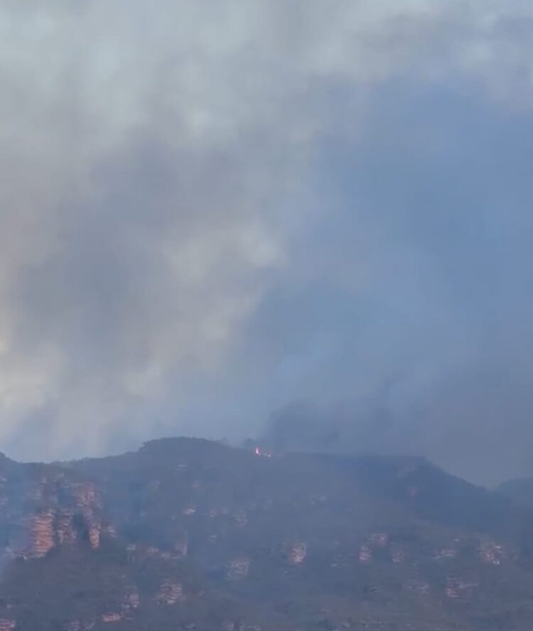 Incêndio na Chapada Diamantina mobiliza brigadistas em combate desde sábado (13)