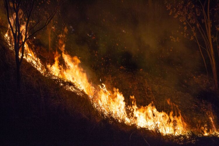 Cidades da Chapada suspendem queimadas de qualquer natureza em territórios municipais