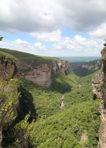 Decreto cria Refúgio de Vida Silvestre da Serra da Chapadinha após anos de mobilização de ambientalistas