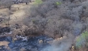 Incêndio no Mocambo, em Ibitiara, é controlado após mobilização de brigadistas e moradores