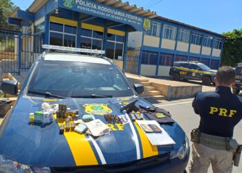 Homem é preso com arma de fogo, medicamentos ilícitos e R$ 19 mil em espécie na BR-242, em Palmeiras